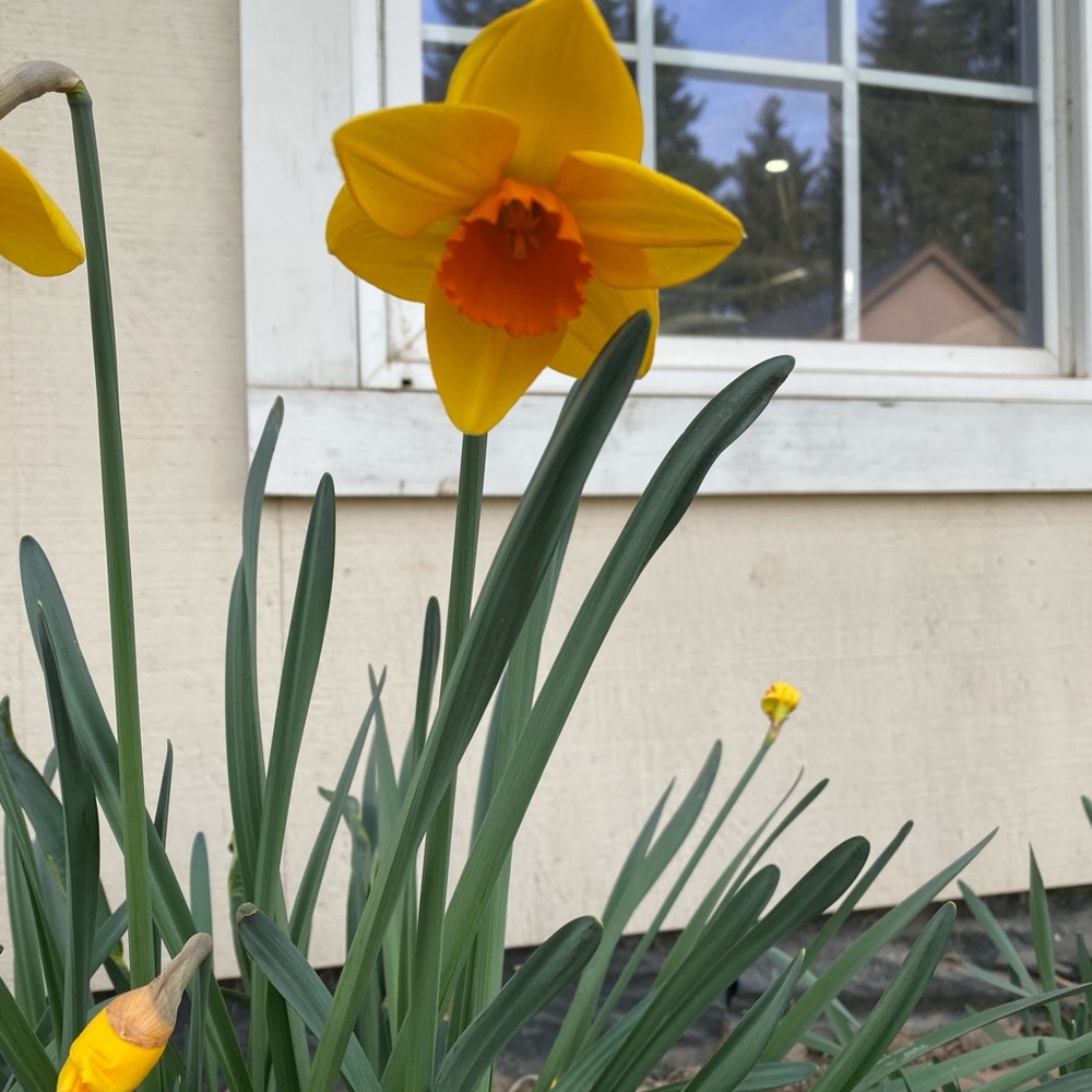 Meet your Posher, Cyndi